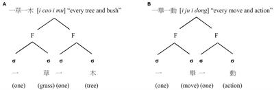 The neurocognitive basis of Chinese idiomatic constructions and processing differences between native speakers and L2 learners of Mandarin